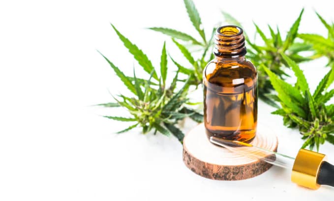 THCV Tincture For Energy, Focus, And Calm Mood