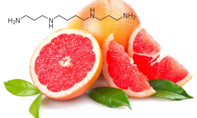 What Is Spermine? Benefits And Side Effects