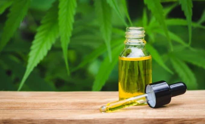 THCV And Diabetes: What You Need To Know?