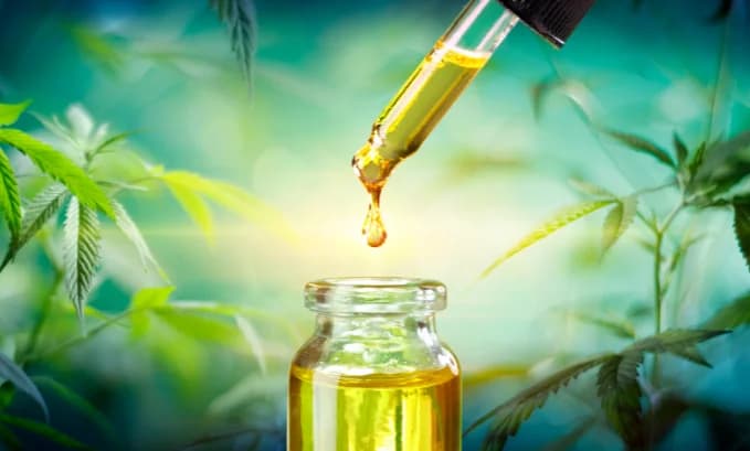 Where To Buy The Best THCV In Florida