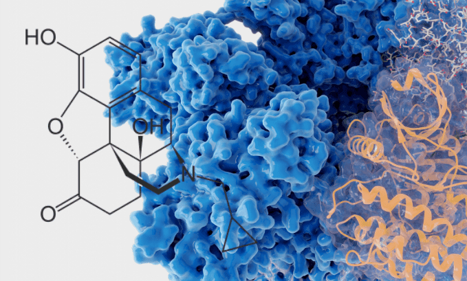 Extraordinary Homeostatic Benefits of Low Dose Naltrexone