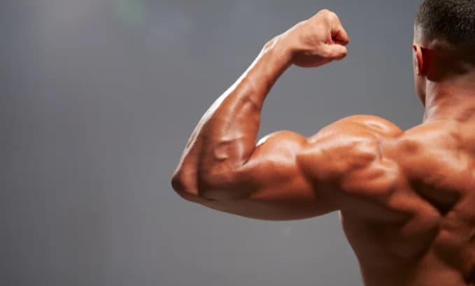 Enclomiphene vs Clomiphene: An In-depth Comparison and Analysis
