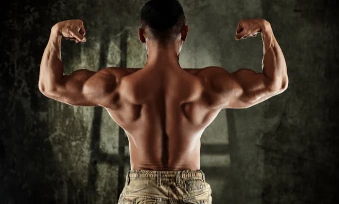 Exploring the Optimal Oral Dosage of Testosterone Undecanoate for Hormone Therapy