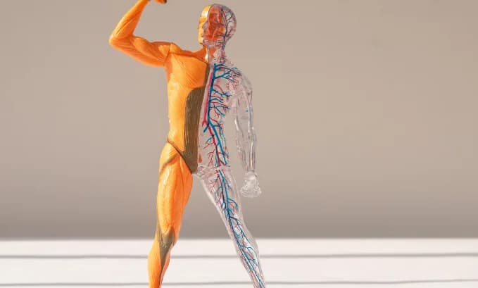 Unlocking Health: Exploring Tesamorelin Peptide Benefits