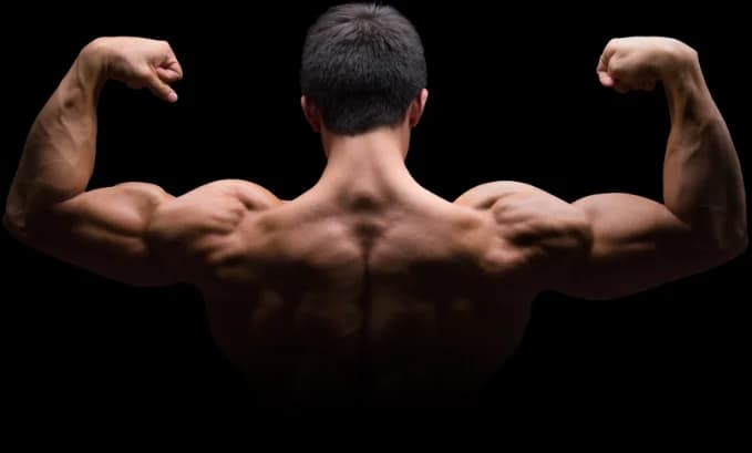 Optimizing Sermorelin Dosage for Bodybuilding Success