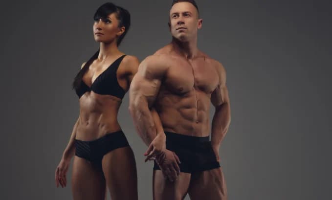 Understanding the Dynamics of an Oral Testosterone Cycle