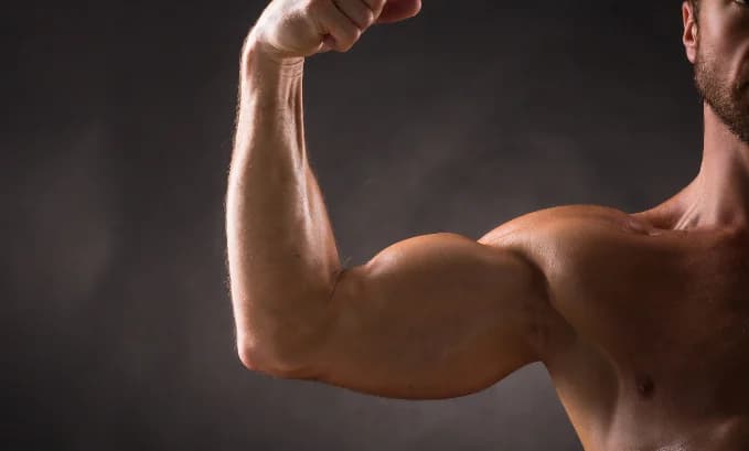Optimizing Health: Testosterone Oral Medication Revealed