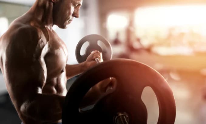 Testosterone Undecanoate vs Enanthate: A Detailed Comparison