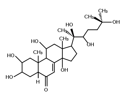 What is Turkesterone