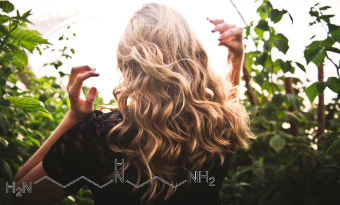 Spermidine For Hair Growth