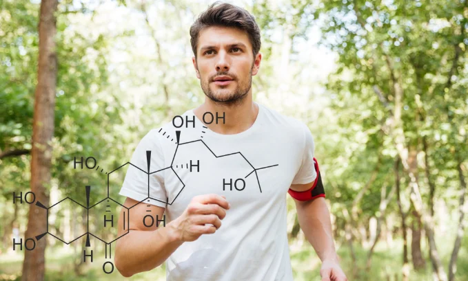 Buy Turkesterone – An Effective Source Of Physical Strength