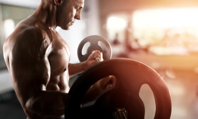 muscle gain