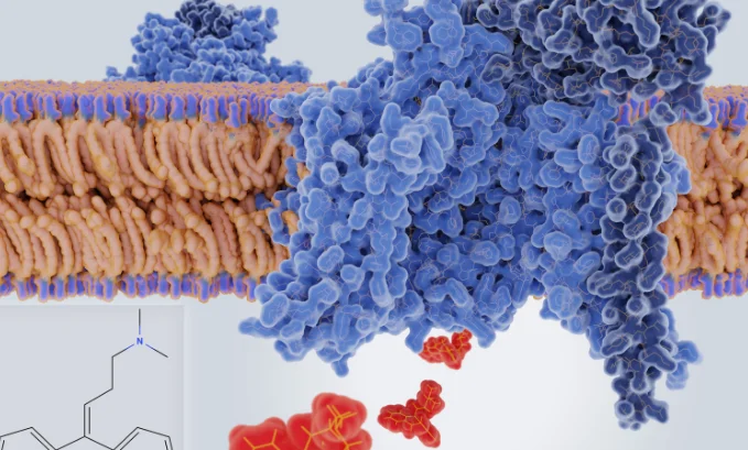 Uncovering the Benefits and Effects of Semaglutide Sodium Salt A Comparison with Semaglutide