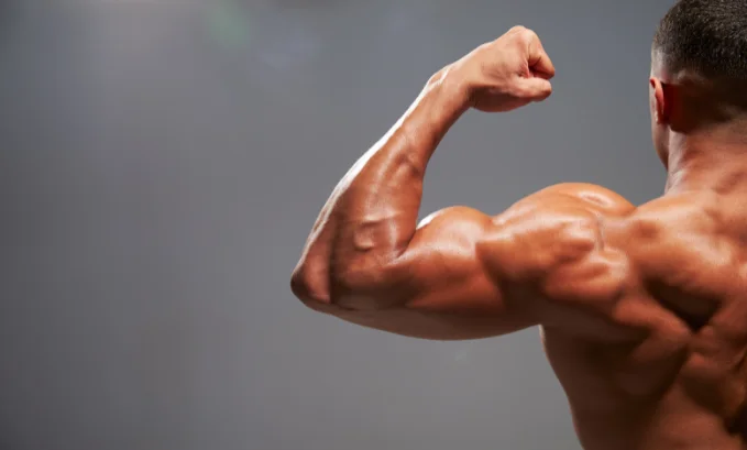 The Benefits of BPC 157 for Bodybuilding