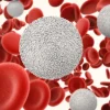 can enclomiphene cause blood clots